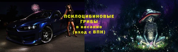 круглые Вяземский