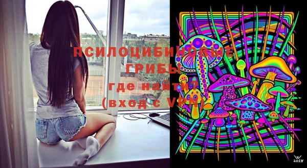 дживик Вязники
