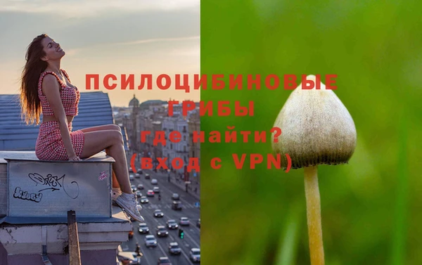 круглые Вяземский