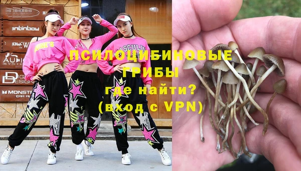 круглые Вяземский