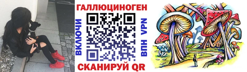 Купить закладки  Карачаевск  Галлюциногенные грибы ЛСД 