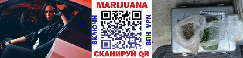 Конопля план  Купить где  Карачаевск 